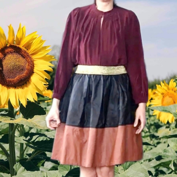 Anthropologie Dresses & Skirts - Champagne & Strawberry Flared Faux Leather Skirt